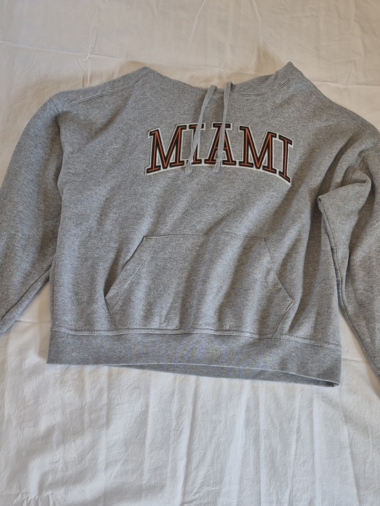 Champion Sweaters - Champion Gray 'MIAMI' Hoodie Sweatshirt